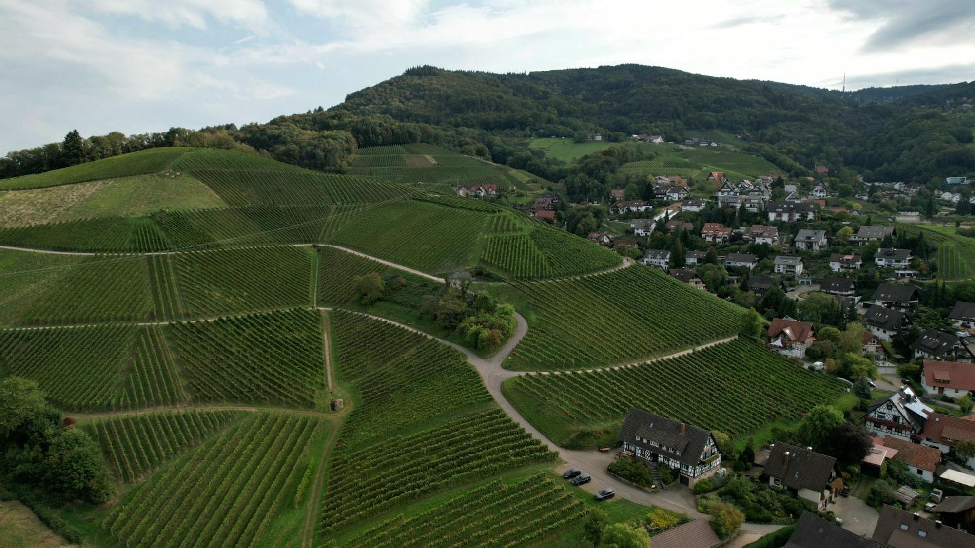 Renatas Ferienwohnung Sasbachwalden Exterior foto